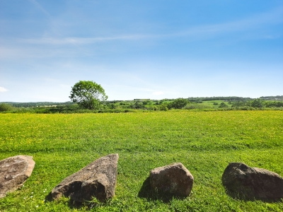 Picture 23